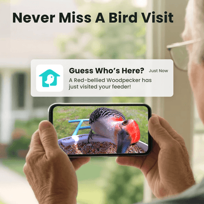 Birdfy Feeder with Solar Panel - Solar-Powered Smart Bird Feeder with Camera Bundle Birdfy