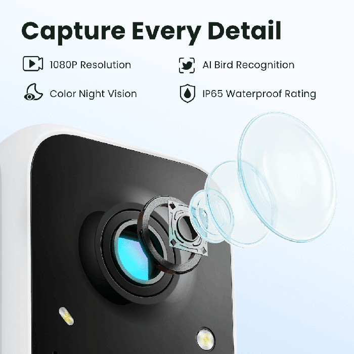 Birdfy Feeder - AI-Powered Smart Bird Feeder with Camera Birdfy Feeder 1 Birdfy