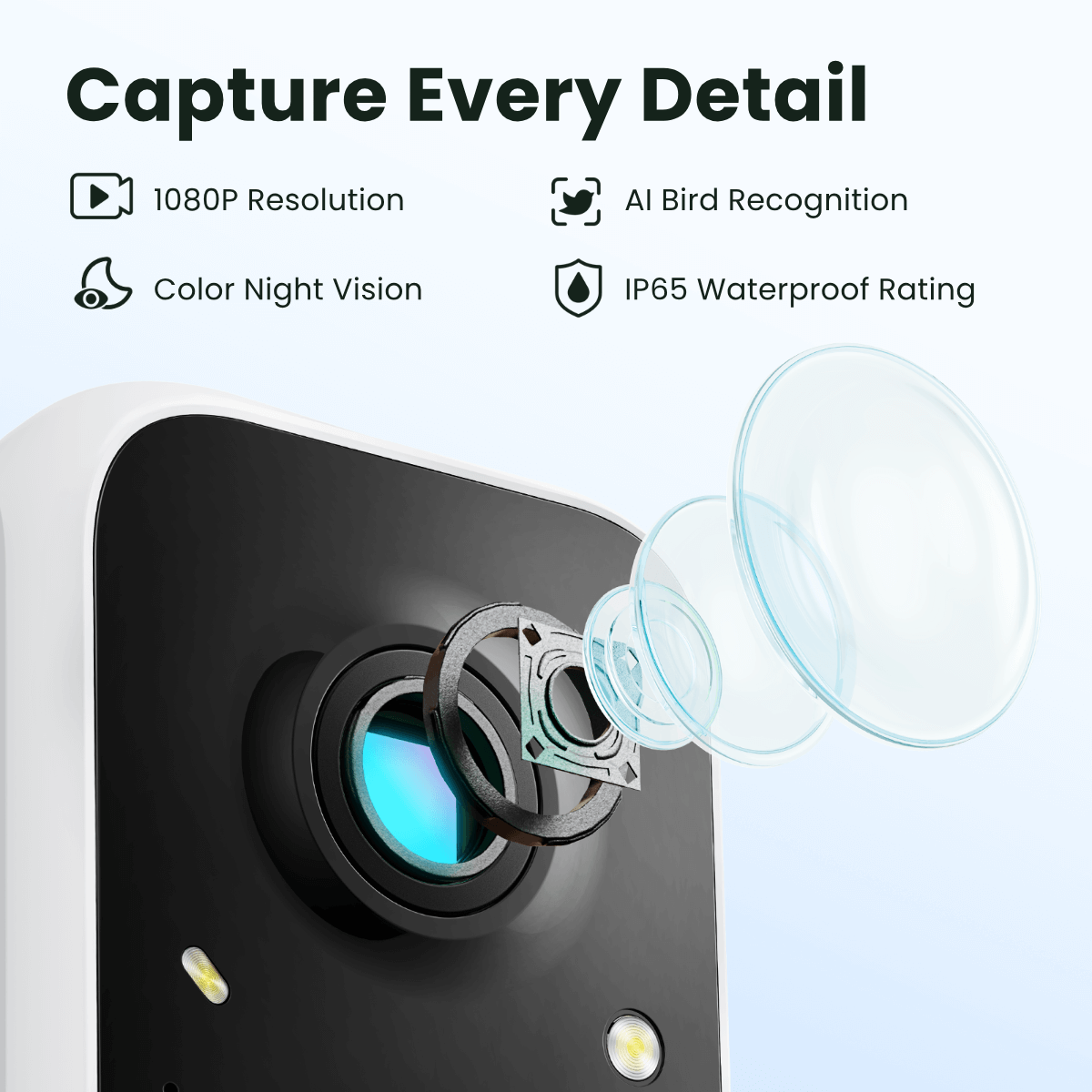 Birdfy Feeder - AI-Powered Smart Bird Feeder with Camera Birdfy Feeder Birdfy