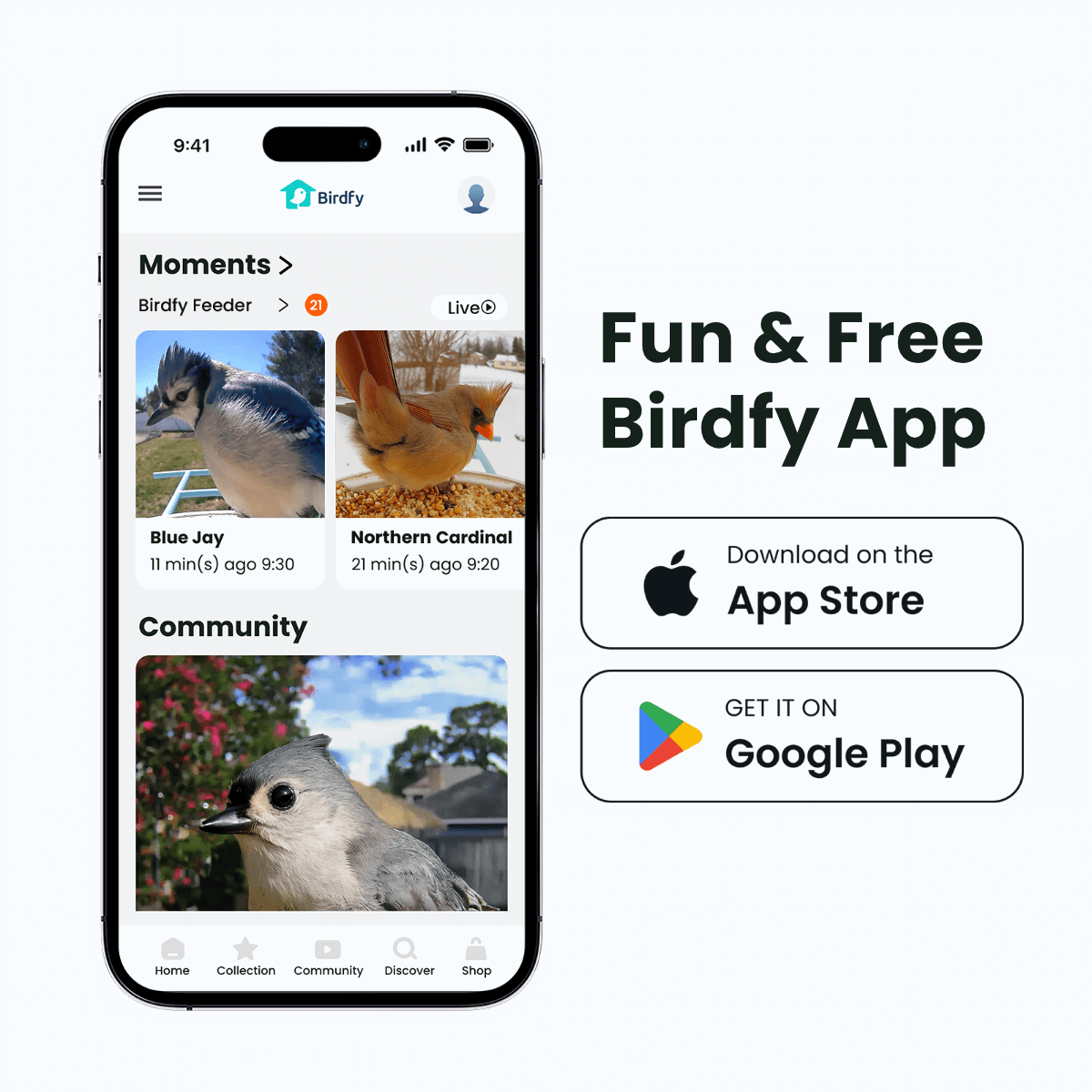 Birdfy Feeder with Solar Panel - Solar-Powered Smart Bird Feeder with Camera Bundle Birdfy