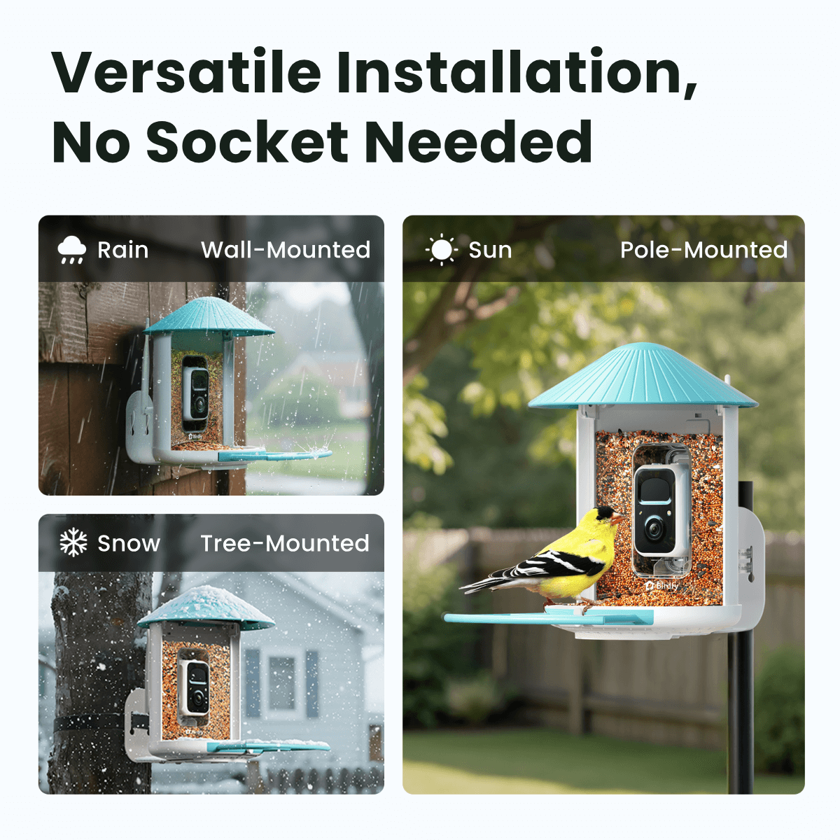 Birdfy Feeder - AI-Powered Smart Bird Feeder with Camera Birdfy Feeder Birdfy