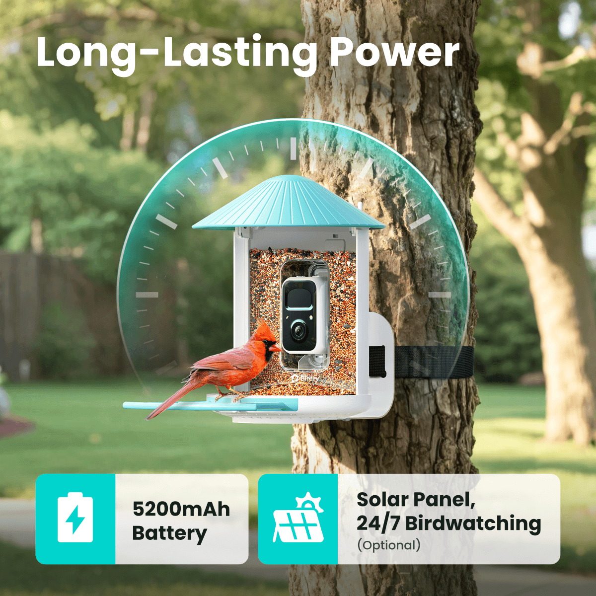 Birdfy Feeder with Solar Panel - Solar-Powered Smart Bird Feeder with Camera Bundle Birdfy