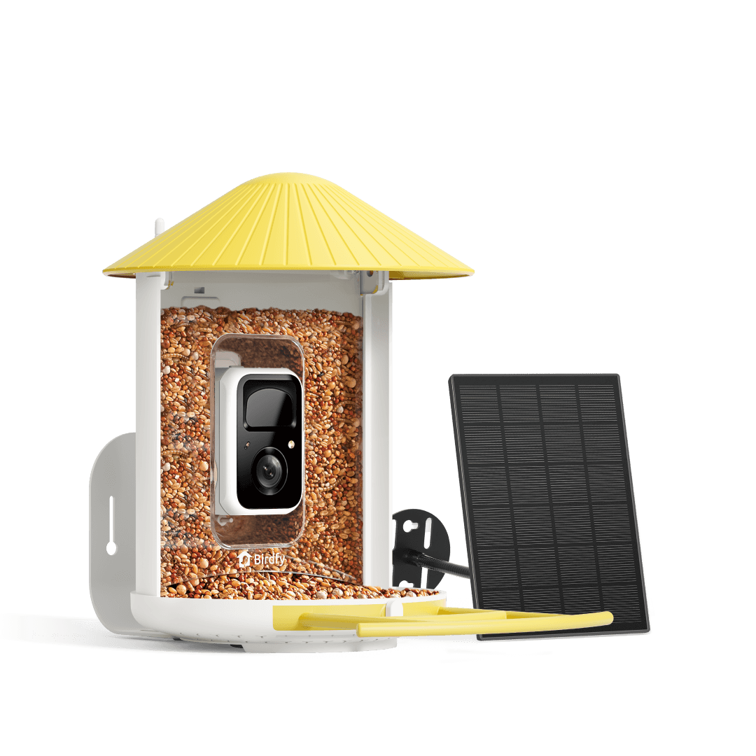 Birdfy Feeder with Solar Panel - Solar-Powered Smart Bird Feeder with Camera Bundle Birdfy