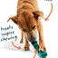 Bite n' Brush by Woof Enrichment Woof Pet