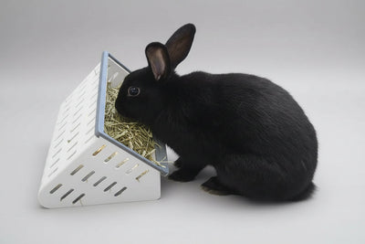 Open Air Hay Feeder Hay feeder Bunny Business