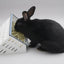 Open Air Hay Feeder and Hay Roller Bundle | 6 Colors Hay feeder Bunny Business