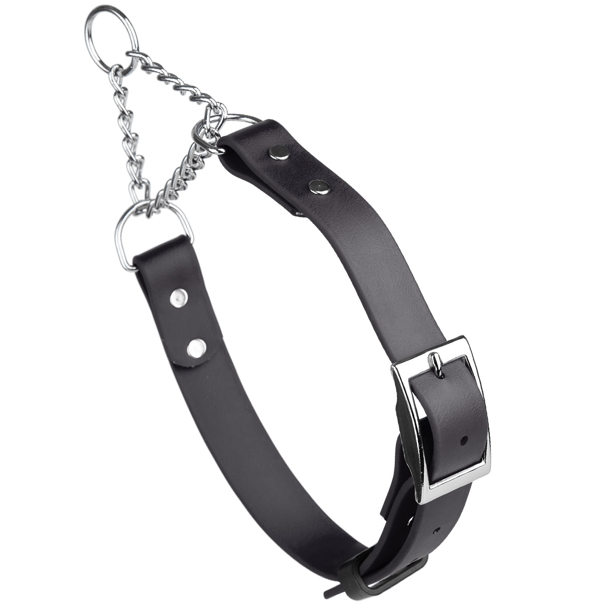 Biothane Adjustable Martingale Collar with Metal Buckle Black Dog Collars Dogline