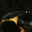 Black Ghost Knifefish KNIFEFISH Danaqua Live Fish & More