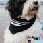 Cashmere Blend Scarf sets for Pets and their humans, Black and White BANDANA BESPOKE PAWS