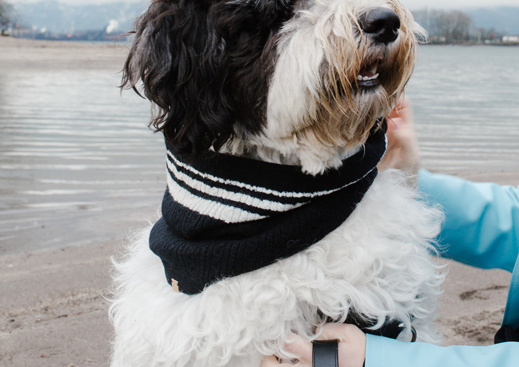 Cashmere Blend Scarf sets for Pets and their humans, Black and White BANDANA BESPOKE PAWS