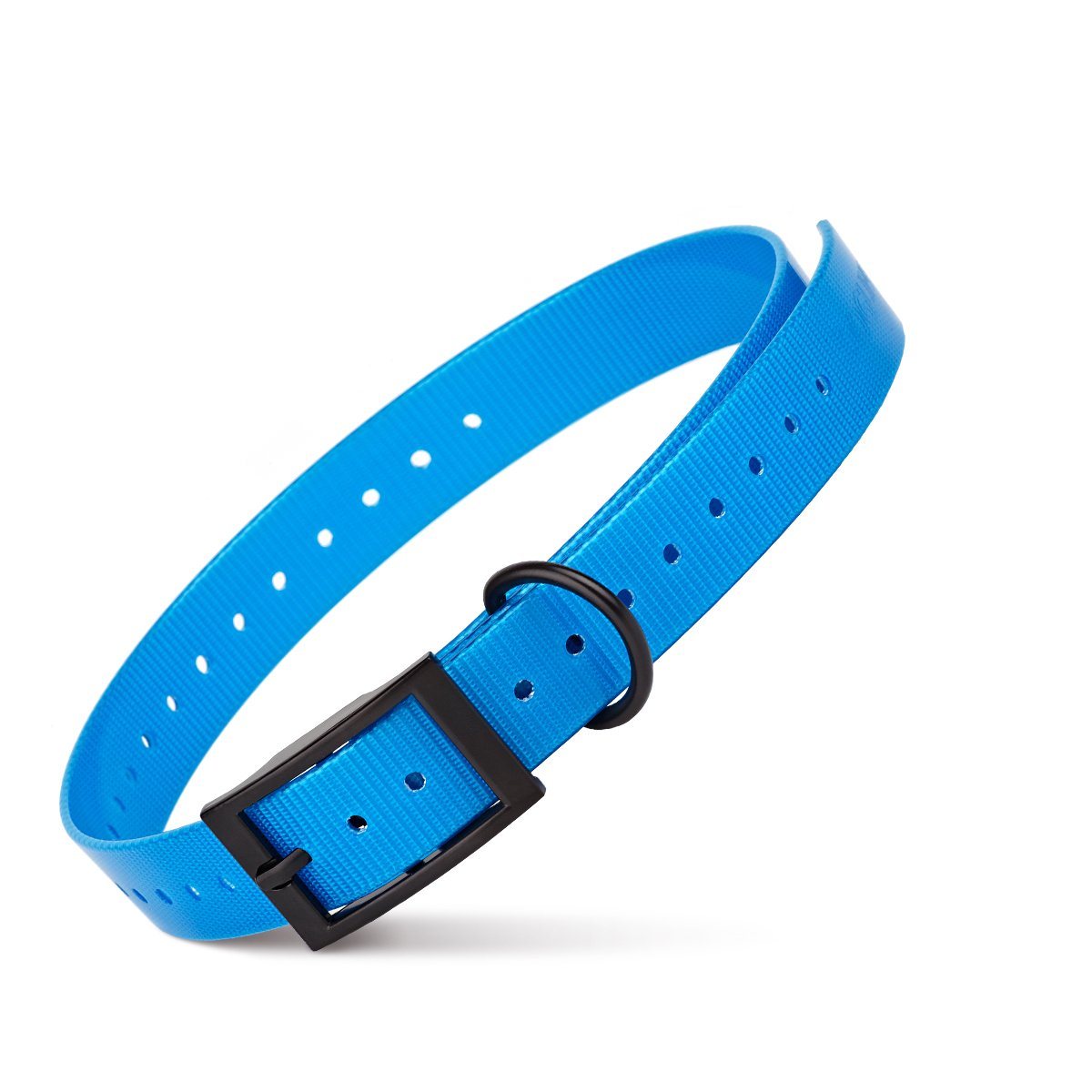 Biothane E-Collar Replacement Strap Blue 11”-26” Dog Collars Dogline