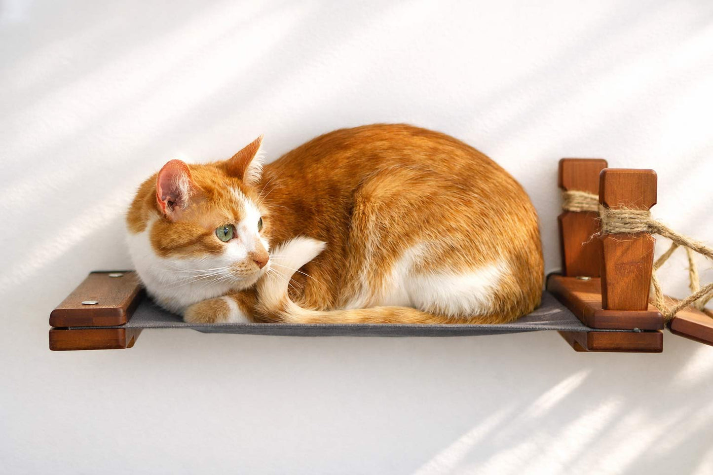 Double Cat Hammock and Climbing Bridge Combo Cat Bridge Catastrophic Creations