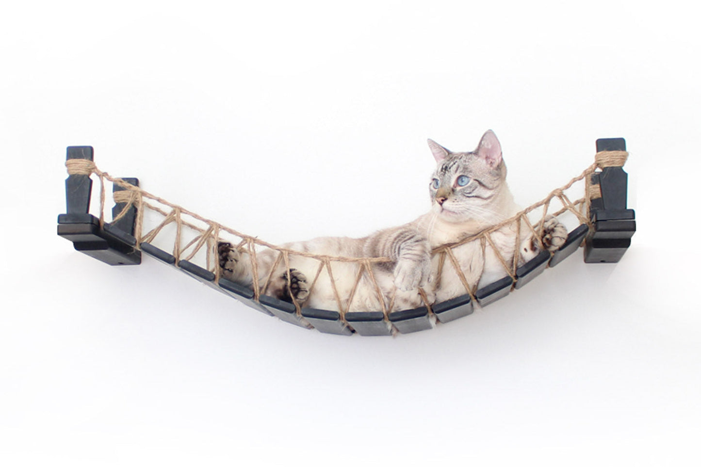 Cat Bridge for Wall Onyx Bamboo 34" Cat Bridge Catastrophic Creations