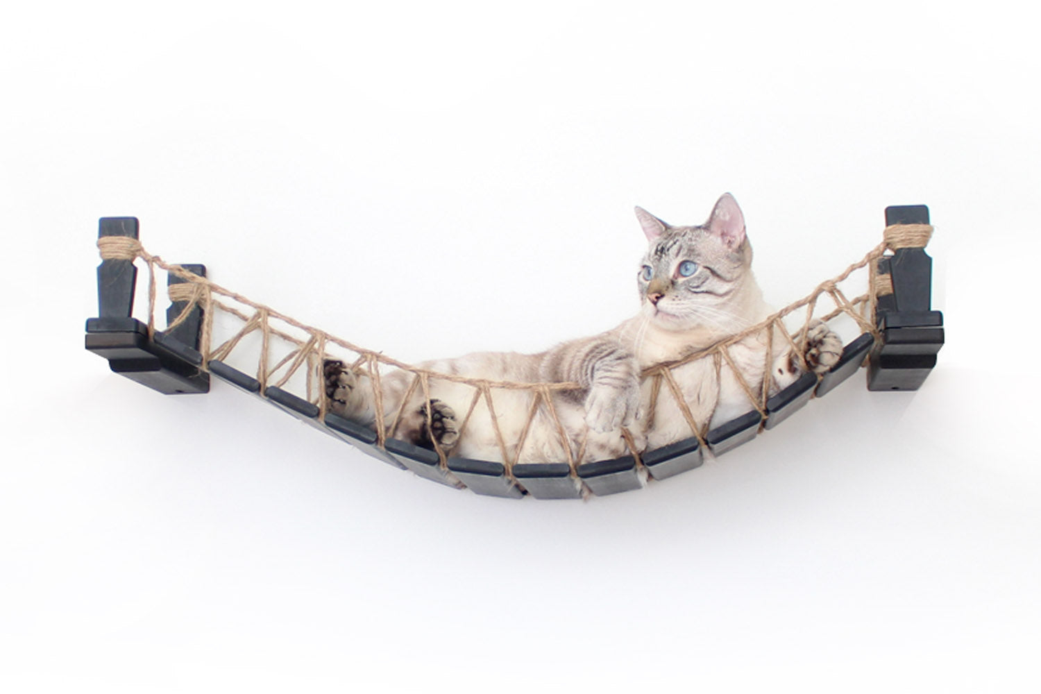 Cat Bridge for Wall Onyx Bamboo 34" Cat Bridge Catastrophic Creations