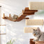 Corner Cat Shelf Bridge Cat Bridge Catastrophic Creations