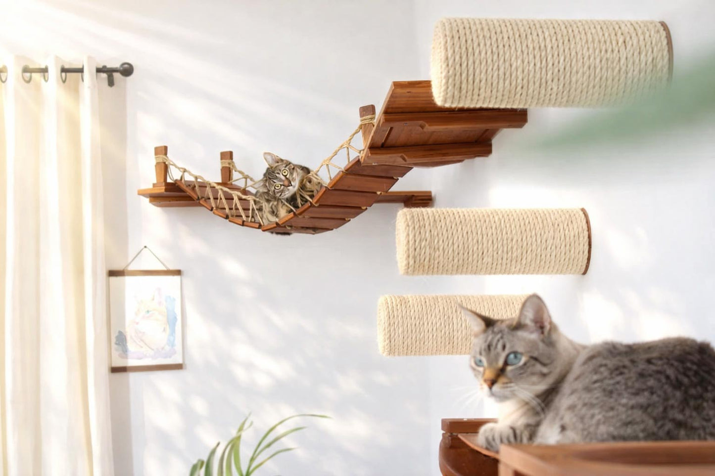 Corner Cat Shelf Bridge Cat Bridge Catastrophic Creations