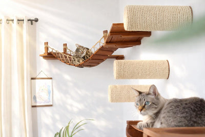 Corner Cat Shelf Bridge Cat Bridge Catastrophic Creations
