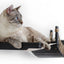 Double Cat Hammock and Climbing Bridge Combo Cat Bridge Catastrophic Creations