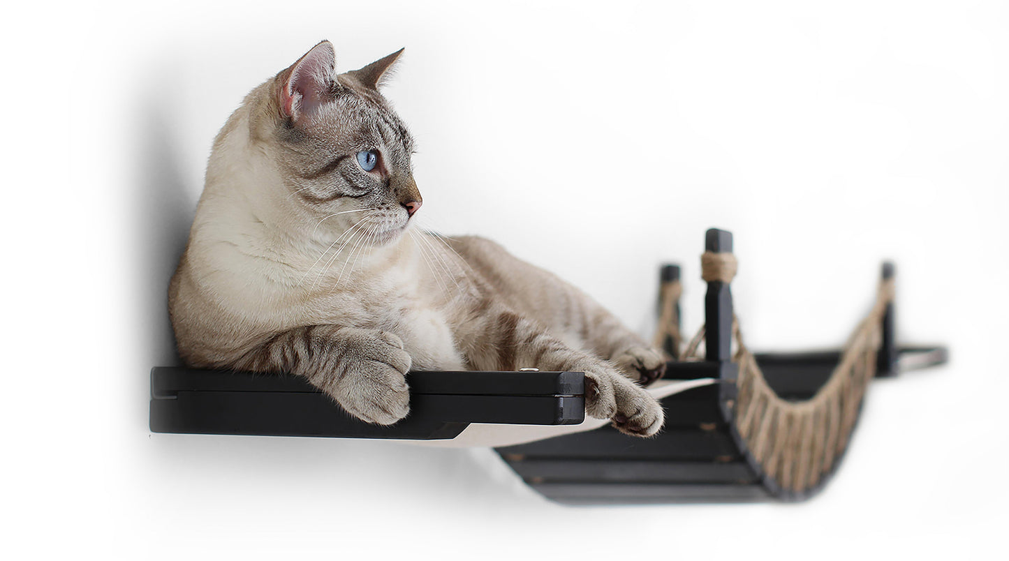Double Cat Hammock and Climbing Bridge Combo Cat Bridge Catastrophic Creations