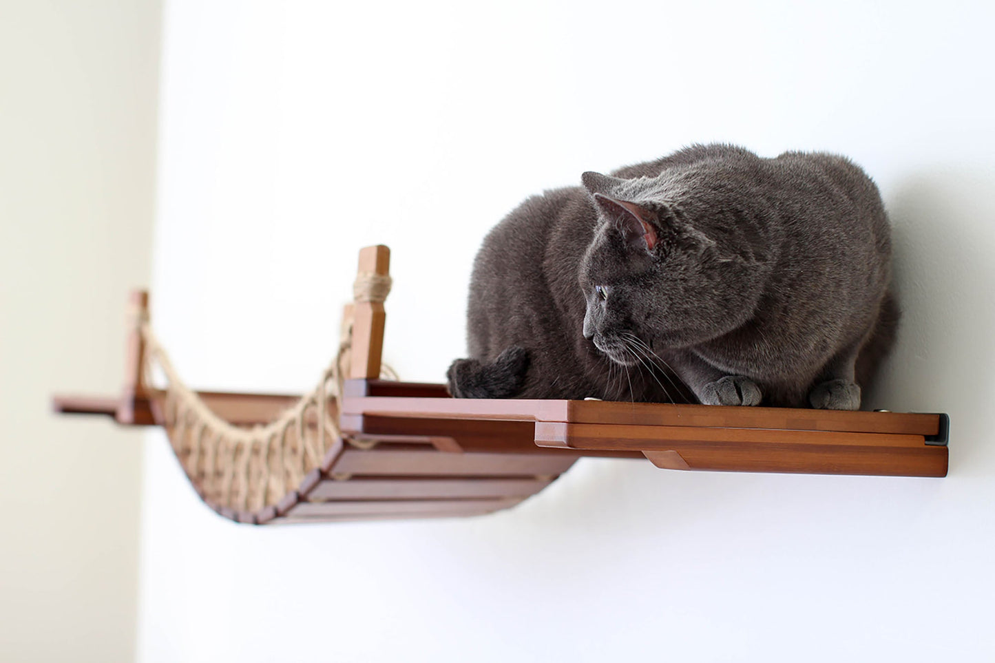 Cat Wall Bridge and Shelf Set Cat Bridge Catastrophic Creations