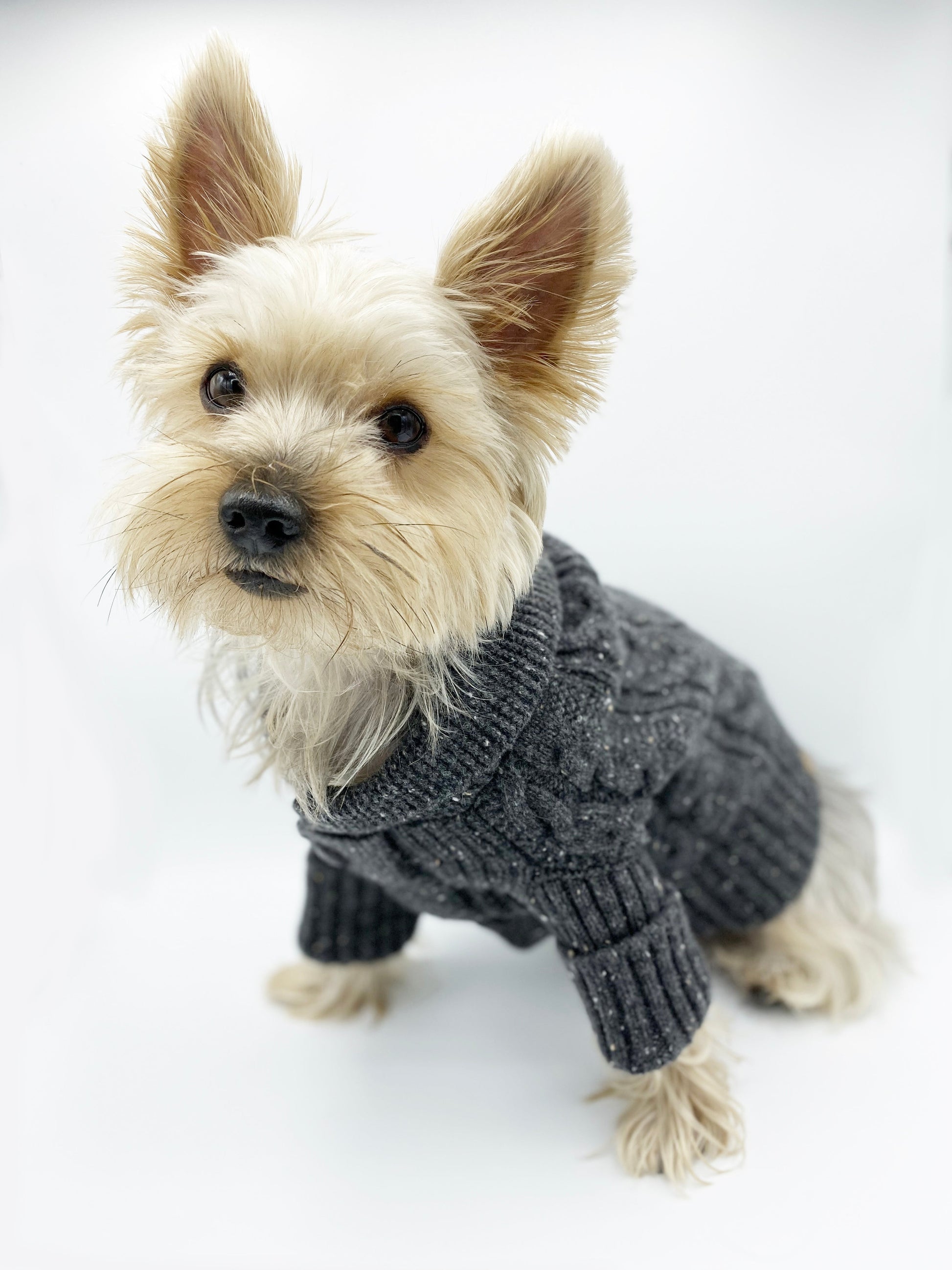 Brooklyn Cashmere Cardigan, Charcoal SMALL Sweaters BESPOKE PAWS