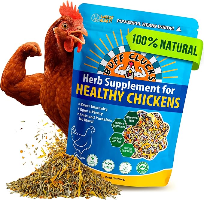 Herb Supplement For Backyard Chickens REGULAR (12 oz) Chicken Treat Buff Clucks