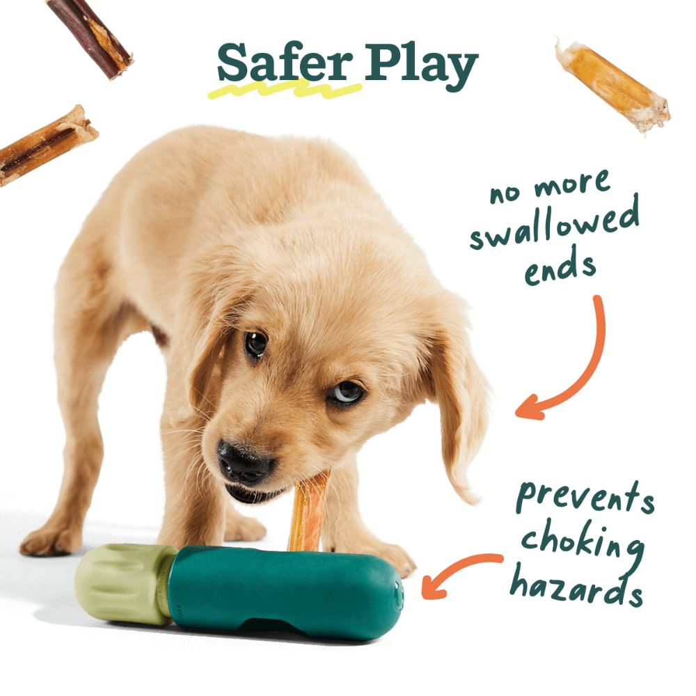 The BullySafe by Woof Woof Pet