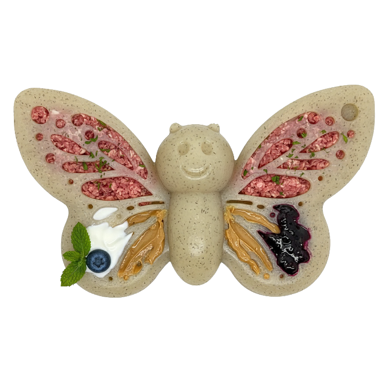 Butterfly Nylon Chew & Enrichment Toy | 2-in-1 for Aggressive Chewers | SodaPup Nylon Dog Toys SodaPup/True Dogs, LLC