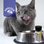 Quailicious Boost - Made in USA High-Protein Quail Egg Cat Food Topper, Freeze-Dried for Cat Digestive Health - Nutrient-Rich, Grain-Free Digestive Support for Cats, Ideal for Picky Eaters Quailz.com by Undique LLC