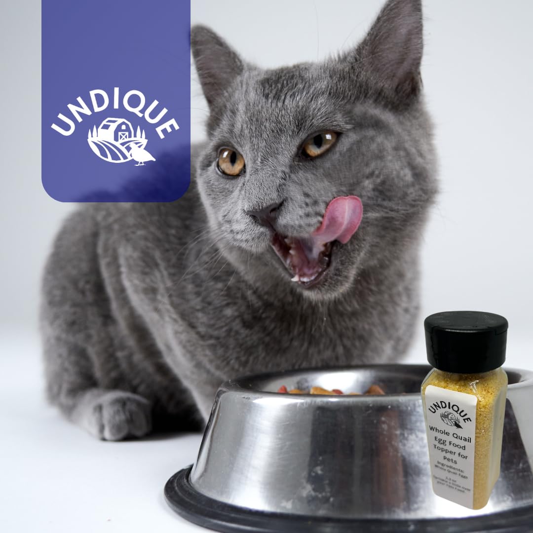 Quailicious Boost - Made in USA High-Protein Quail Egg Cat Food Topper, Freeze-Dried for Cat Digestive Health - Nutrient-Rich, Grain-Free Digestive Support for Cats, Ideal for Picky Eaters Quailz.com by Undique LLC