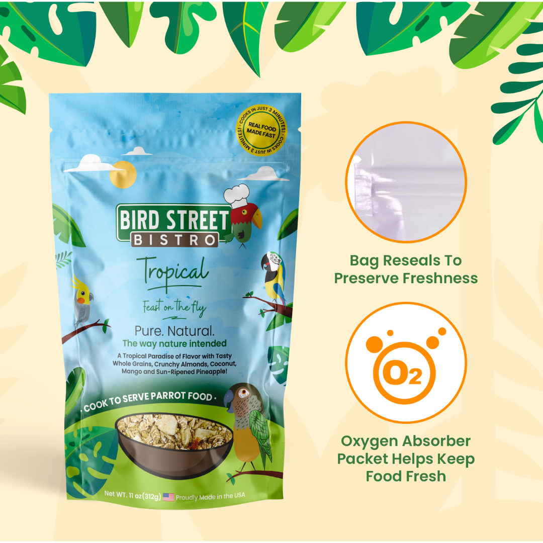 Tropical - Feast on the Fly Parrot Food Bird Street Bistro