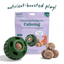Woof Pupsicle Pops Calming Wellness Pops Dog Treats Woof Pet