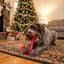 Candy Cane Nylon Dog Toy for Aggressive Chewers | USA Made | SodaPup Nylon Dog Toys SodaPup/True Dogs, LLC