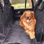 PupProtector™ Back Seat Dog Car Cover Vehicle Pet Barriers Paw.com