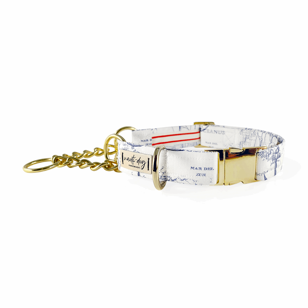 Carta Marina Light Vintage Nautical Toile Buckle & Martingale Dog Collar Dog Collars Nauti-dog Handmade