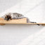 The Cat Nest Bed Cat shelves/bed Catastrophic Creations