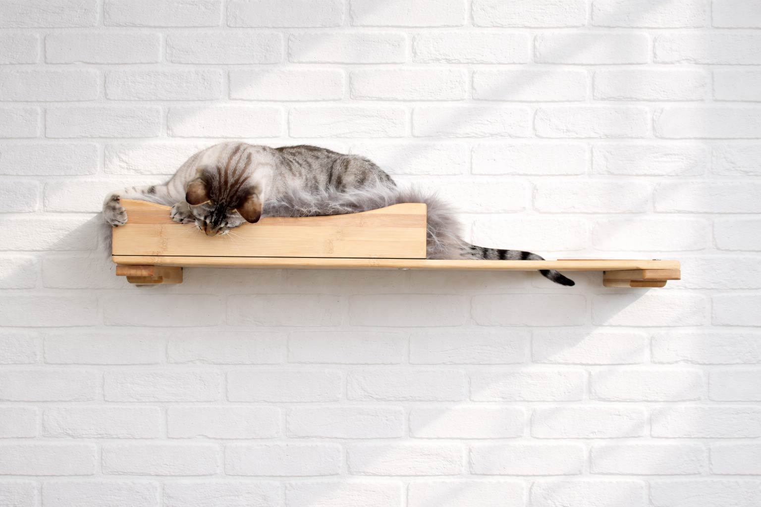 The Cat Nest Bed Cat shelves/bed Catastrophic Creations