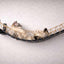 Cat Bridge for Wall Cat Bridge Catastrophic Creations