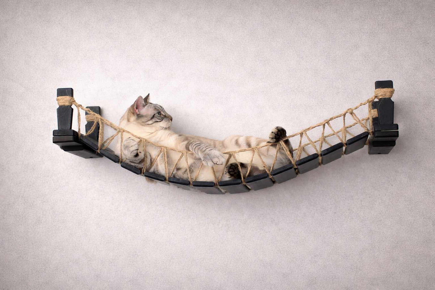 Cat Bridge for Wall Cat Bridge Catastrophic Creations