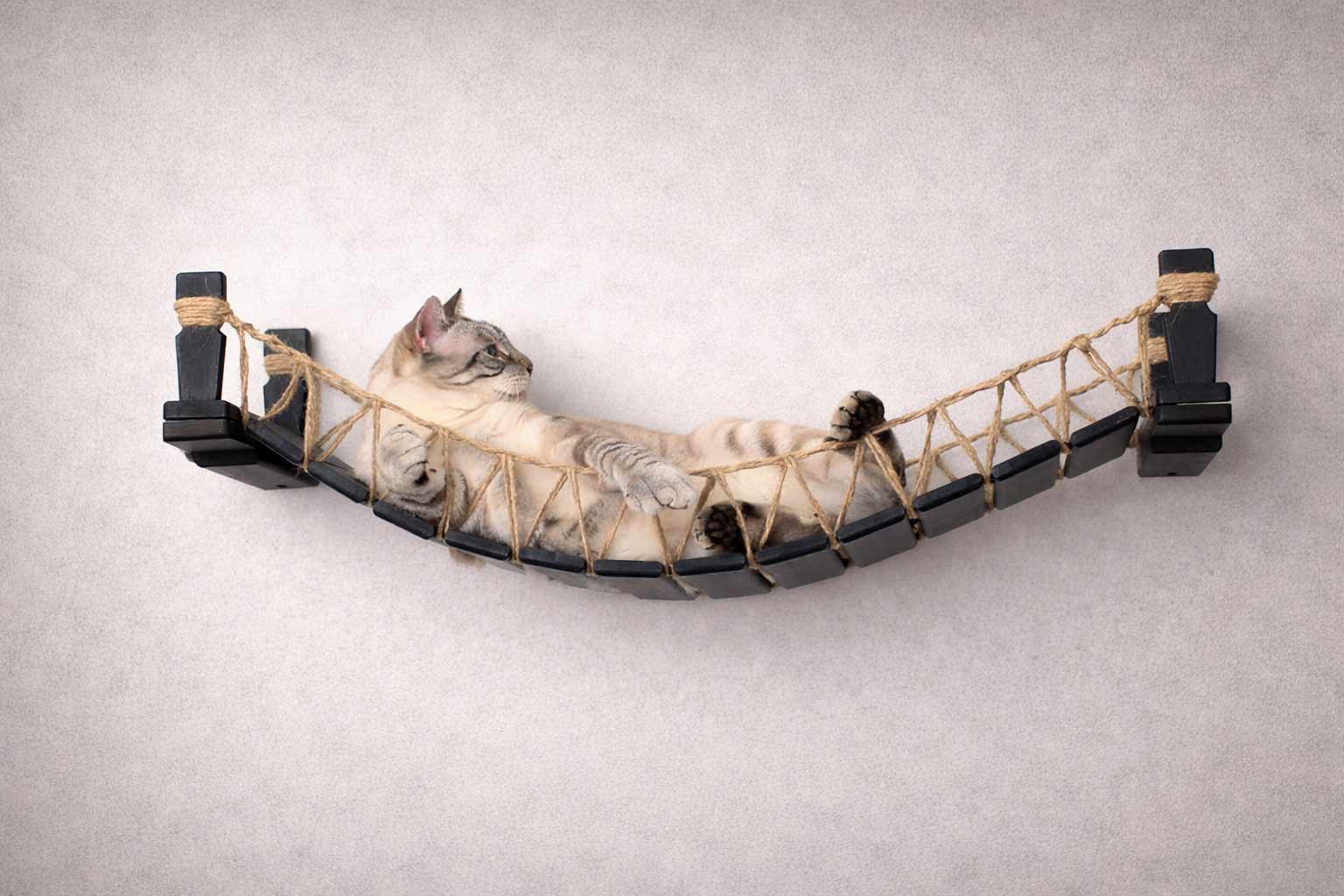 Cat Bridge for Wall Cat Bridge Catastrophic Creations