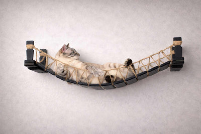 Cat Bridge for Wall Cat Bridge Catastrophic Creations
