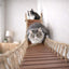 Double Cat Hammock and Climbing Bridge Combo Cat Bridge Catastrophic Creations