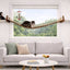 Double Cat Hammock and Climbing Bridge Combo Cat Bridge Catastrophic Creations