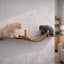Cat Wall Bridge and Shelf Set Cat Bridge Catastrophic Creations