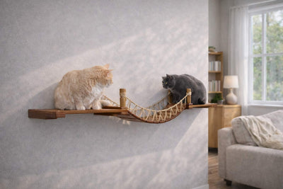 Cat Wall Bridge and Shelf Set Cat Bridge Catastrophic Creations