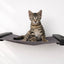 Hanging Cat Bed Hammock Cat Hammock Catastrophic Creations