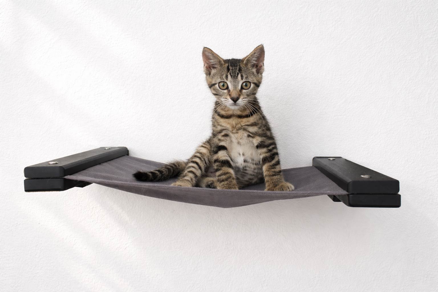Hanging Cat Bed Hammock Cat Hammock Catastrophic Creations