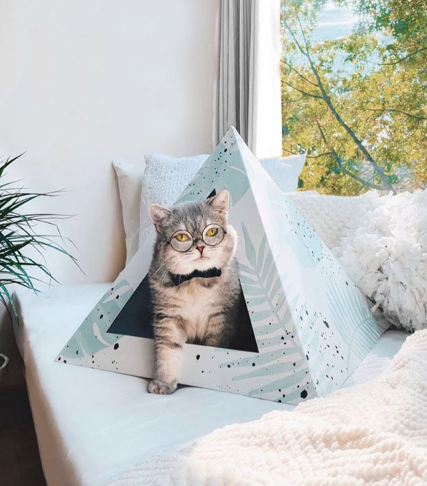 'Oasis' Cardboard Cat Pyramid KittyKardboard