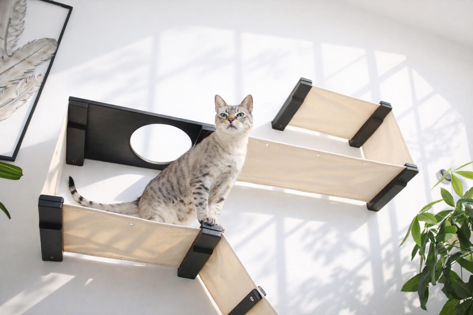 The Play - A Cat Play Wall System Cat Condo Catastrophic Creations