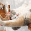 Double Cat Hammock and Climbing Bridge Combo Cat Bridge Catastrophic Creations